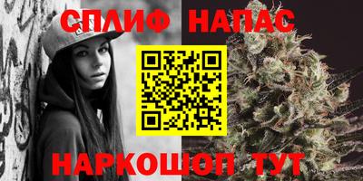 гидропоника Жуковский