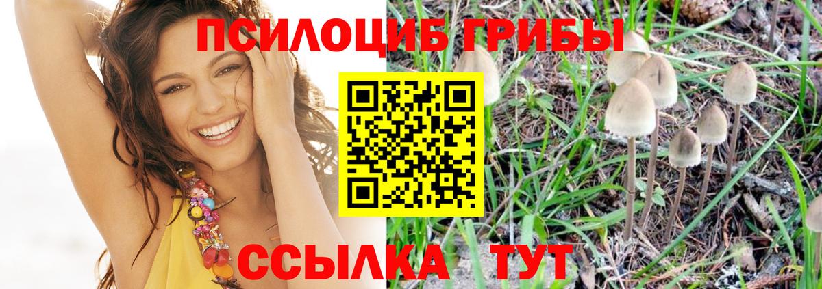 наркошоп  Псилоцибиновые грибы мухоморы  Вход с VPN  Лесосибирск 